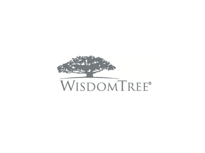 Wisdomtree Transparent Logo WisdomTree Launches Cloud Computing ETF
